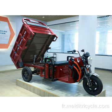 Tricycle électrique de cargaison Hongqi de grande taille